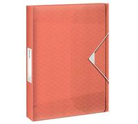 Leitz ESSELTE 626258 - Carpeta de proyectos COLOUR'ICE PP lomo 25 mm DIN A4 color albaricoque