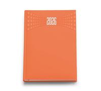 LEIVESTE Agenda diaria 2026 A5 | Agenda 2026 enero-diciembre | Organizador diario con intervalos de 30 minutos | Formato grande 15 x 21 cm (naranja)