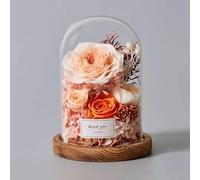 LEIYTFE Flores Eternas para Decoración: Rosas Preservadas En Una Campana De Cristal, Regalos De Cumpleaños Y San Valentín para Mujeres: Madres, Esposas Y Novias(Orange)