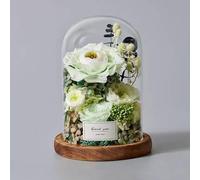 LEIYTFE Flores Eternas para Decoración: Rosas Preservadas En Una Campana De Cristal, Regalos De Cumpleaños Y San Valentín para Mujeres: Madres, Esposas Y Novias(Light Green)