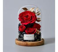 LEIYTFE Flores Eternas para Decoración: Rosas Preservadas En Una Campana De Cristal, Regalos De Cumpleaños Y San Valentín para Mujeres: Madres, Esposas Y Novias(Rosso)