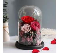 LEIYTFE Forever Love Gifts: Rosas Preservadas Regalos Románticos Que Nunca Se Marchitan Flores Naturales Bajo Una Cúpula De Cristal, para El Día De La Madre, San Valentín Y Navidad(Rosso)