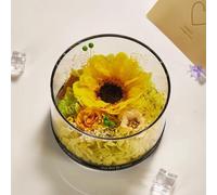 LEIYTFE Girasol Preservado En Campana De Cristal Aniversario, Cumpleaños, San Valentín Regalos para Tu Mujer, Elegantes Arreglos Florales Frescos para Enviar Amor En Cualquier Ocasión(Design 2)