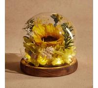 LEIYTFE Girasol Preservado En Campana De Cristal Aniversario, Cumpleaños, San Valentín Regalos para Tu Mujer, Elegantes Arreglos Florales Frescos para Enviar Amor En Cualquier Ocasión(Design 1)