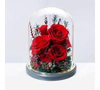 LEIYTFE Regalo De Flores Eternas Rosa Eterna Preservada En Una Campana De Cristal, Flores Naturales para Ella, Regalo para Mamá, Esposa O Novia En Su Cumpleaños(Red Roses)