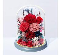 LEIYTFE Regalo De Flores Eternas Rosa Eterna Preservada En Una Campana De Cristal, Flores Naturales para Ella, Regalo para Mamá, Esposa O Novia En Su Cumpleaños(Red Carnations)