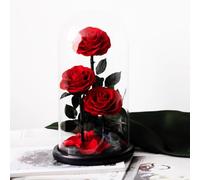 LEIYTFE Regalos De Rosas Preservadas para Mujer Flores Eternas De Larga Duración En Una Campana De Cristal Rosas Eternas, para Regalos De San Valentín, El Día De La Madre Y Cumpleaños(Rosso)