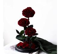 LEIYTFE Regalos De Rosas Preservadas para Mujer Flores Eternas De Larga Duración En Una Campana De Cristal Rosas Eternas, para Regalos De San Valentín, El Día De La Madre Y Cumpleaños(Crimson)