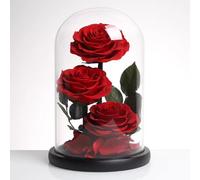 LEIYTFE Regalos para Mamás Y Mujeres Rosa Preservada En Un Jarrón De Cristal, Rosas Eternas Que Nunca Se Marchitan, Día De La Madre Que Duran Un Año O Más(Rosso)