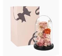 LEIYTFE Rosa Eterna Preservada En Cúpula De Cristal Regalos para Mujeres, Rosas Preservadas- Un Regalo Romántico para Cumpleaños Y Aniversarios, Arreglo Floral para Decoración De Interiores(Style C)