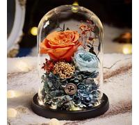 LEIYTFE Rosas Y Flores Naturales A Domicilio, Ramos De Flores Preservadas, Regalos De Cumpleaños para Mujeres Y Madres, Regalos Románticos para Aniversarios Y Decoración del Hogar(Orange)
