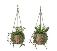 LEKE GO Set de 2 Plantas Artificiales con Maceta Cactus de plástico Colgante