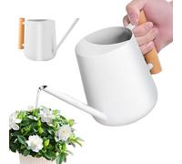 LEKEFETO Regadera blanca para plantas de interior, 1 l, de acero inoxidable, con boquilla larga y mango de madera, para plantas suculentas, macetas y flores