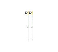 LEKI Bastón de Nordic Walking Walker XS para niños verde