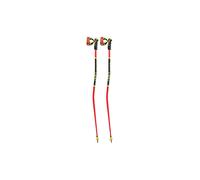 LEKI Bastones de esquí WCR GS 3D rojo | 135
