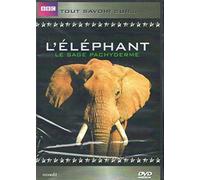 L'Eléphant Tout savoir sur... [DVD]
