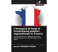 L'emergere di fondi di investimento pubblici regionalizzati in Francia: Comprendere le basi e l'ingegneria finanziaria istituzionalizzata con il caso della Regione Ile-de-France
