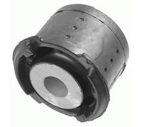 LEMFÖRDER 21381 01 Almacenamiento Cuerpo del Eje para BMW 3 (E46) 1997-2005 Exterior, Ambos Lados, Trasero, Eje Trasero y Otros vehículos
