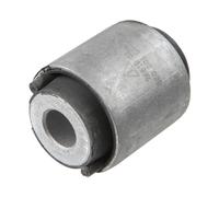 LEMFÖRDER 26619 01 Suspensión brazo oscilante trasero para A4 Exeo