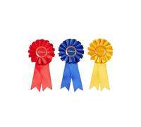 LeMieux Toy Pony Rosette Pack - Juego de tres rosetas ganadoras de satén - Felicita a tu poni de juguete - Adecuado para mayores de 3 años