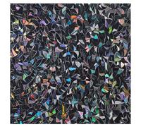 LEMON CLOUD Vinilos para Ventanas, Translucido Privacidad Decorativos Sin Pegamento Estático Vinilo para Cristal, Dormitorio Cocina Oficina Baño, 30 x 200 CM, Apagón