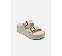 Lemon Jelly Giulietta 02 40 Oro y bronce