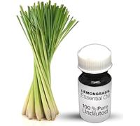 Lemongrass Essential Oil / 100% Pure Lemongrass Undiluted Essential Oil Premium Quality (50 ML, NATURAL)