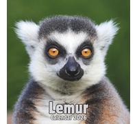 Lemur Calendar 2026: 14-Month Organizer from Nov 2025 to Dec 2026 | Perfect for Home, Office, School & Family Scheduling, For Men , Women , Girls , Boys
