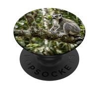 Lémur Vida Silvestre Animal Selva Bosque Árbol Rama Tropical PopSockets PopGrip Adhesivo
