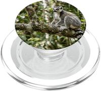 Lémur Vida Silvestre Animal Selva Bosque Árbol Rama Tropical PopSockets PopGrip para MagSafe