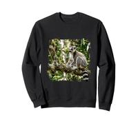 Lémur Vida Silvestre Animal Selva Bosque Árbol Rama Tropical Sudadera