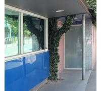 Len Leise - Ing [Vinilo]