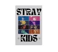 Lenaeo Stray Poster Kids Music Vintage Collage Para Habitaciones, Lienzo Estético Arte de Pared Arte de Pared para Dormitorio Póster 30 x 45 cm (30 x 45 cm)