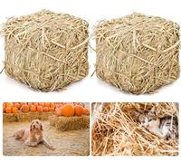 Lengba Paca de paja natural para refugio de gatos, 8 x 8 x 8 pulgadas, ropa de cama de paja suave y seca para gatos, gatos salvajes y animales pequeños | Pala decorativa de heno para uso en exteriores