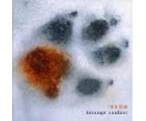 Lenine - Falange Canibal