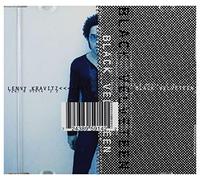 Lenny Kravitz - Black Velveteen