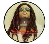Lenny Kravitz - Is There Any Love In Your Heart
