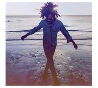 Lenny Kravitz - Lenny Kravitz: Raise Vibration (EE Version) [CD]