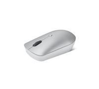 Lenovo 540 Ratón Ambidextro RF inalámbrico Óptico 2400 DPI Gris