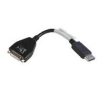 Lenovo Adaptador de Pantalla DisplayPort a DVI-D Negro