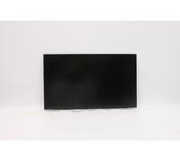 Lenovo Display INX 15.6 FHD IPS AG, FRU5D10V82391