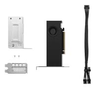 NVIDIA RTX 2000 Ada - Grafikkarten - NVIDIA RTX 2000 Ada - 16 GB GDDR6 - PCIe 4.0 x8 Low-Profile - 4 x DisplayPort
