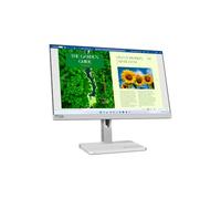 Lenovo L24m-40 - Monitor 24" FullHD con EyeSafe (IPS, 100Hz, 4ms, HDMI+DP, USB-C, Câble USB-C, Base Metálica) Ajuste de inclinación/rotación/Giro/Altura - Gris