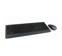 Lenovo Professional Combo - Juego de Teclado y ratón