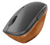 Lenovo Ratón Negro Gris