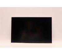 Lenovo DISPLAY AUO 14.0 WUXGA AG (5D10V82364)