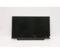 Lenovo Sparepart FRU 100e Chrome AMD INX 11.6 HD TN AG 250nitÿ 50% CG DC, FRU5D11B49275 (HD TN AG 250nitÿ 50% CG DC Mode)