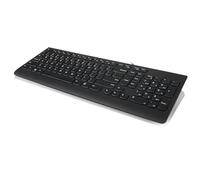 Lenovo Teclado 300 USB (GX30M39655) qwerty inglés EE. UU. negro, ergonómico con cable