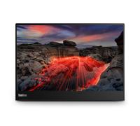 Lenovo ThinkVision M14t LED display 35,6 cm (14") 2240 x 1400 Pixeles 2.2K Pantalla táctil Negro