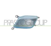 Lente, Indicador De Dirección DS0134113 PRASCO Para NISSAN